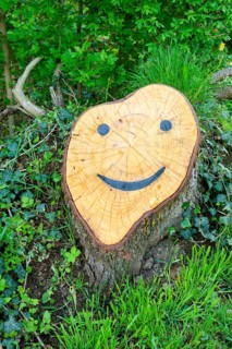 Tree stump with face near Bad Koesen