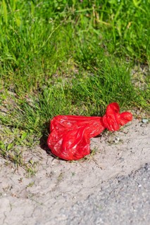 Dog excrement bag