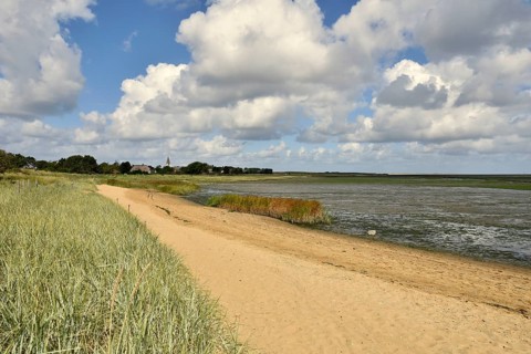 Sand and salt marshes at the Wadden Sea