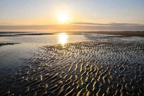 Sandy beach beach with ripple pattern