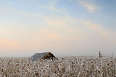 Fishing hut