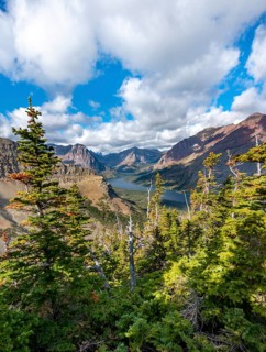 View of Two Medicine Lake with forest