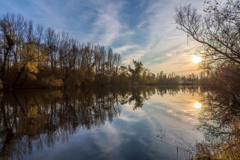 Taubergiessen Nature Reserve