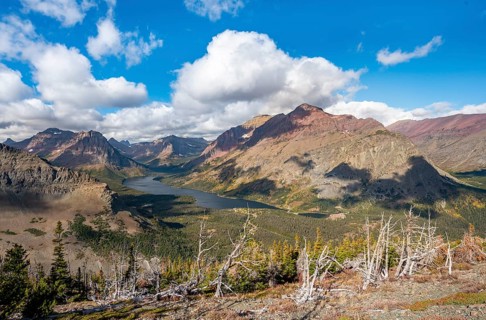View of Two Medicine Lake with dead trees