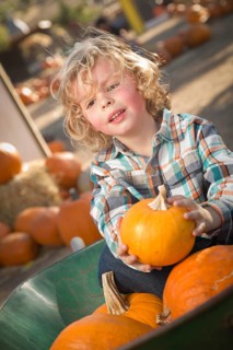 Adorable little boy sitting in wheelbarrow and holding his pumpkin in a rustic ranch setting at the pumpkin patch