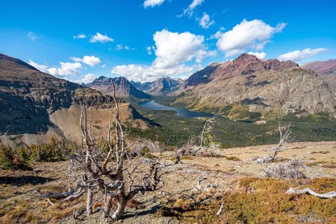 View of Two Medicine Lake with dead trees
