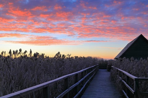 Fishing hut