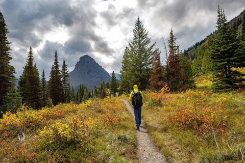 Hiker on a trail between trees and bushes in autumn colors