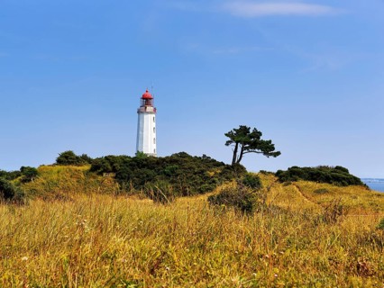 Lighthouse Dornbusch