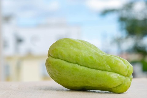 Fresh organic green chayote squash vegetable