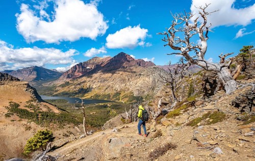 Hiker between dead trees