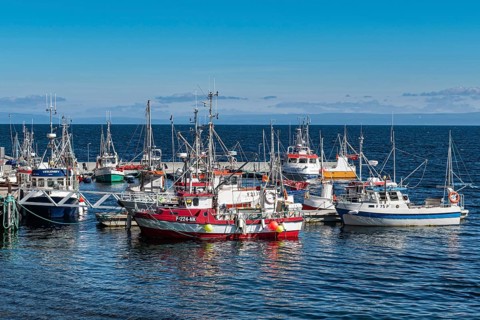 Little fishing boats