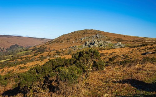 Fields and meadows in Haytor Rocks