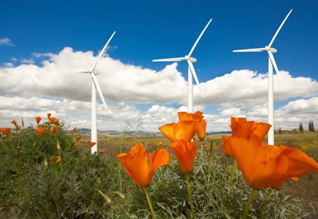 Wind turbines against dramatic sky