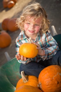 Adorable little boy sitting in wheelbarrow and holding his pumpkin in a rustic ranch setting at the pumpkin patch