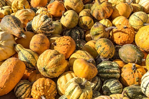 Pumpkins