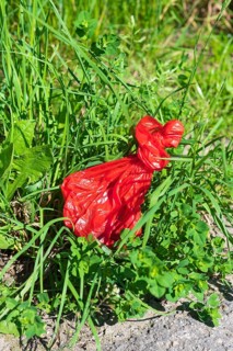 Dog excrement bag