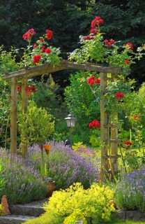 Rose arch