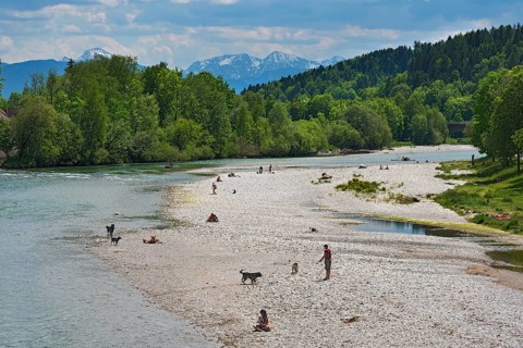 Isar bank with people and dogs