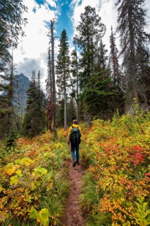 Hikers on a trail through brush in fall colors