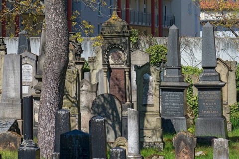 Gravestones at the Old Jewish Cemetery