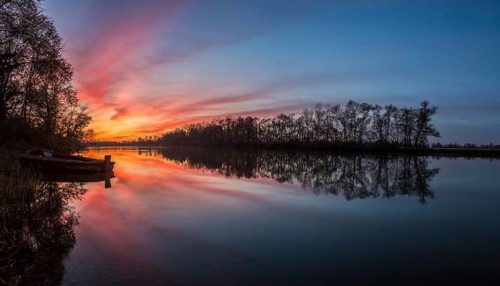 Nature reserve Taubergiessen at sunset
