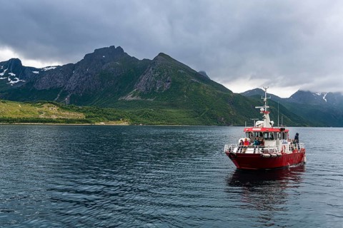 Little ferry bringing tourists to Svartisen glacier