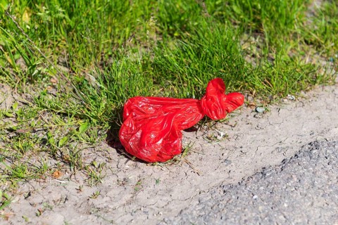 Dog excrement bag