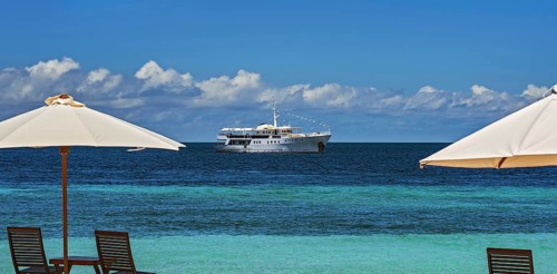 Liveaboard Pelagian