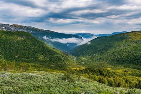 Canyon in the Aurland plateau