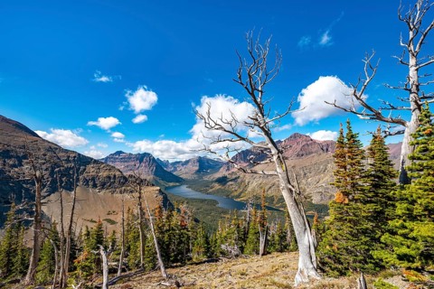 View of Two Medicine Lake with dead trees