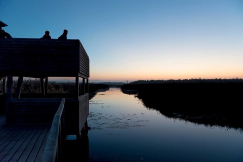 Observation pulpit at the Kanzach at the Federsee lake footbridge