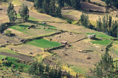 Harvested fields in Valle Sagrado