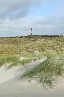 Lighthouse in dune landscape