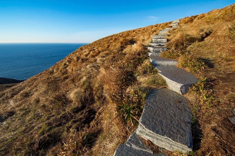 Hiking trail