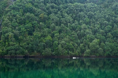 Little boat in Geirangerfjord