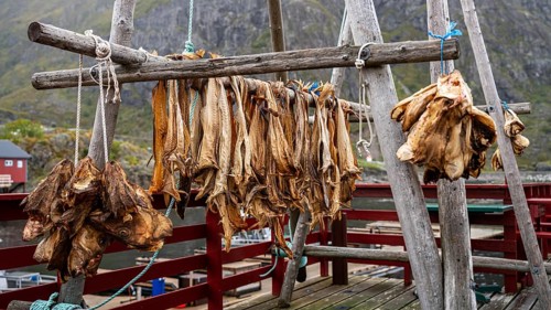Stockfish