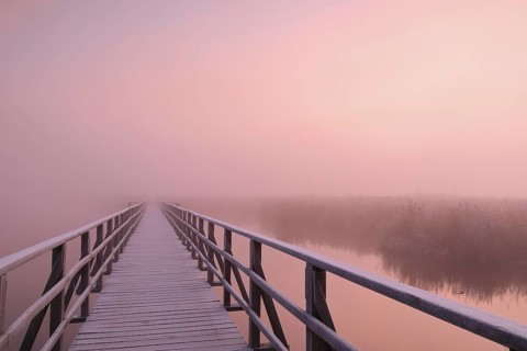 Wooden footbridge