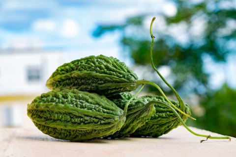Closeup of fresh organic green bitter gourd