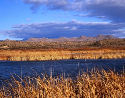 Bosque del Apache Nature Reserve