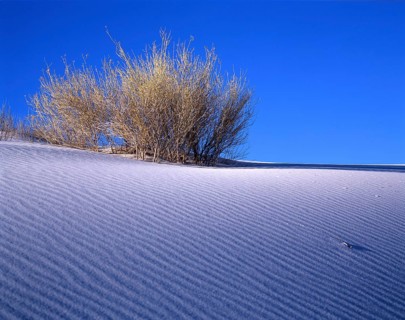White Sands Gypsum Desert National Park