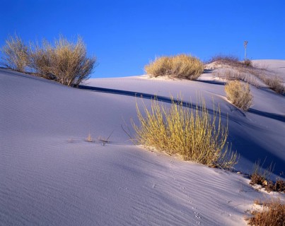 White sands Gypsum Desert National Park