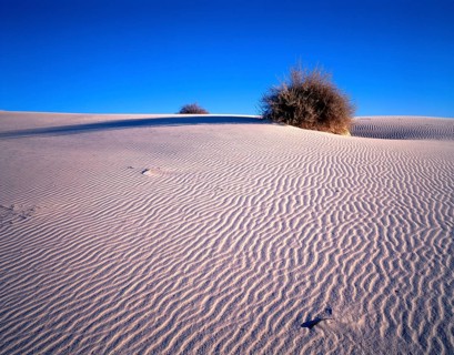 White sands Gypsum Desert National Park