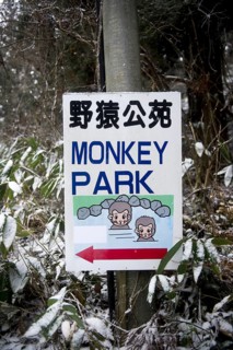 Monkey Park entrance sign