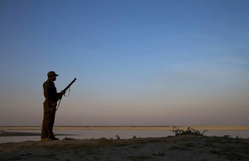 game ranger armed with rifle
