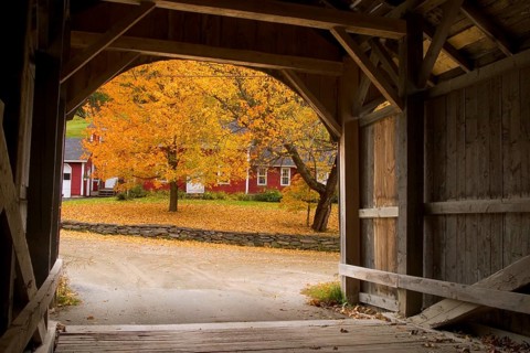 Autumn
