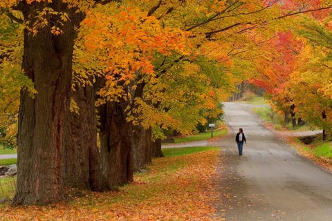 Walk