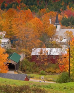 Village Bridge