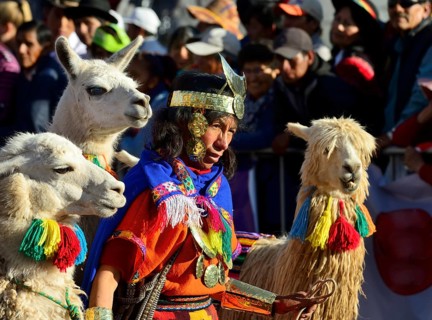 Man in Inca costume with two llamas and an alpaca at the parade on the eve of Inti Raymi
