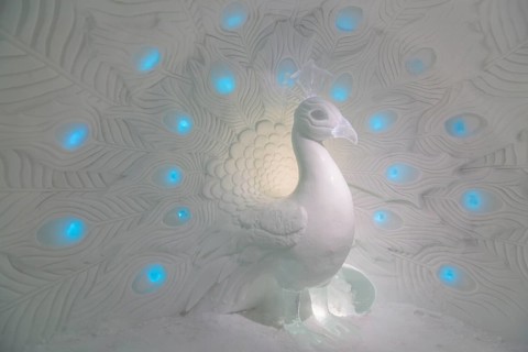 Peacock made of ice in the ice hotel of Jukkasjaervi